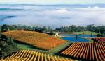 Coldstream Hills Vineyards Victoria Australia