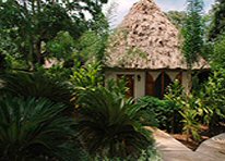 chaa creek lodge cottage exterior 