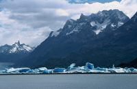 Lago Grey icebergs