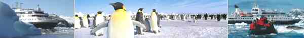 antarctica emperor penguins and ship