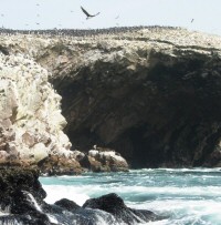 ballestas islands