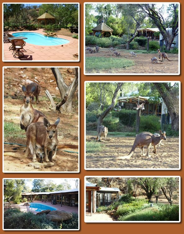 alice station B&B