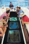 glass-bottomed boat on reef