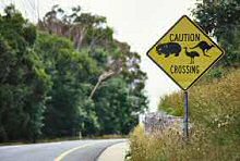 animals crossing sign