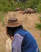 Janine of Echidna watching emus